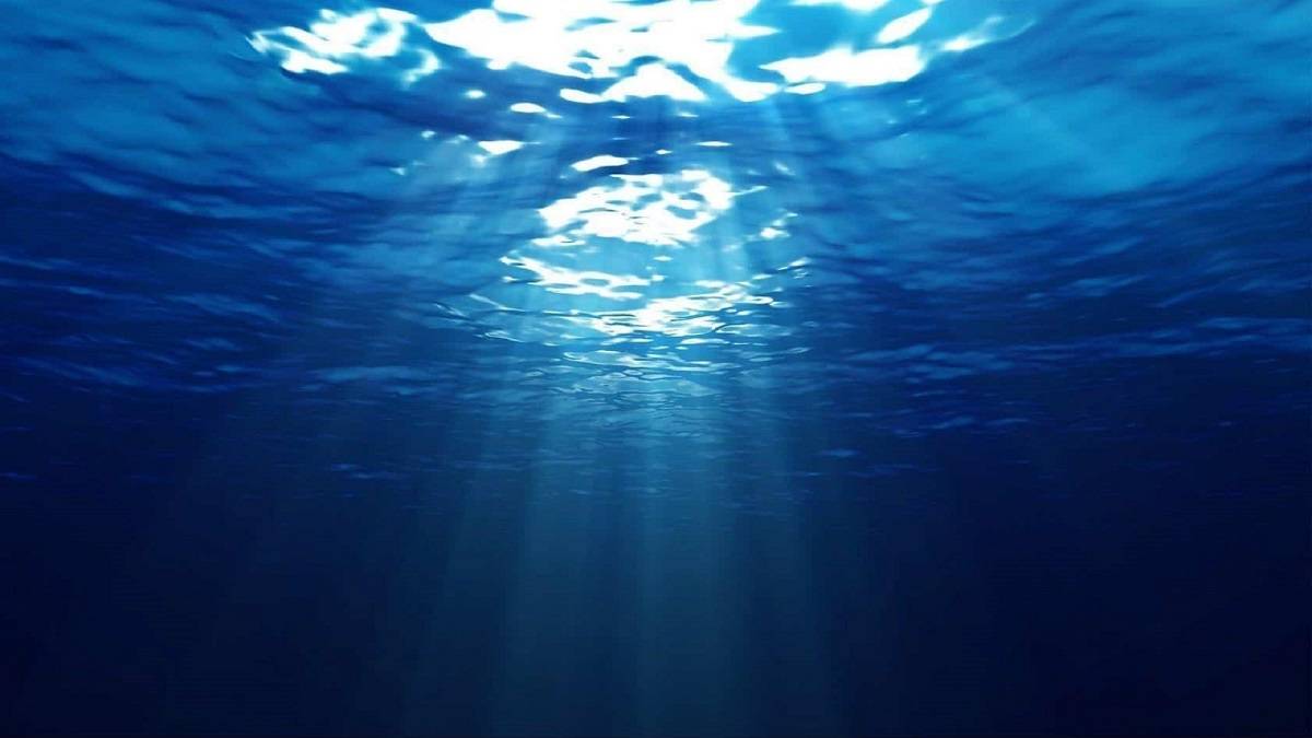 Okyanuslar hakkında ilginç 20 bilgi