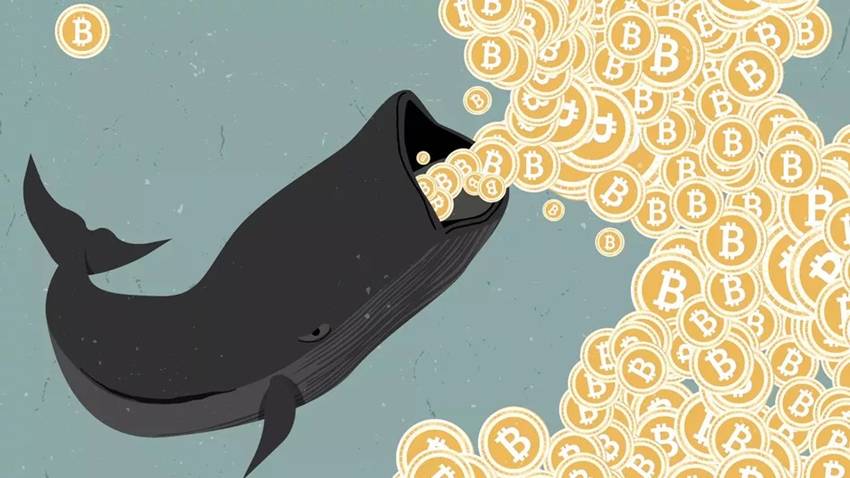 Büyük Bitcoin transferleri devam ediyor