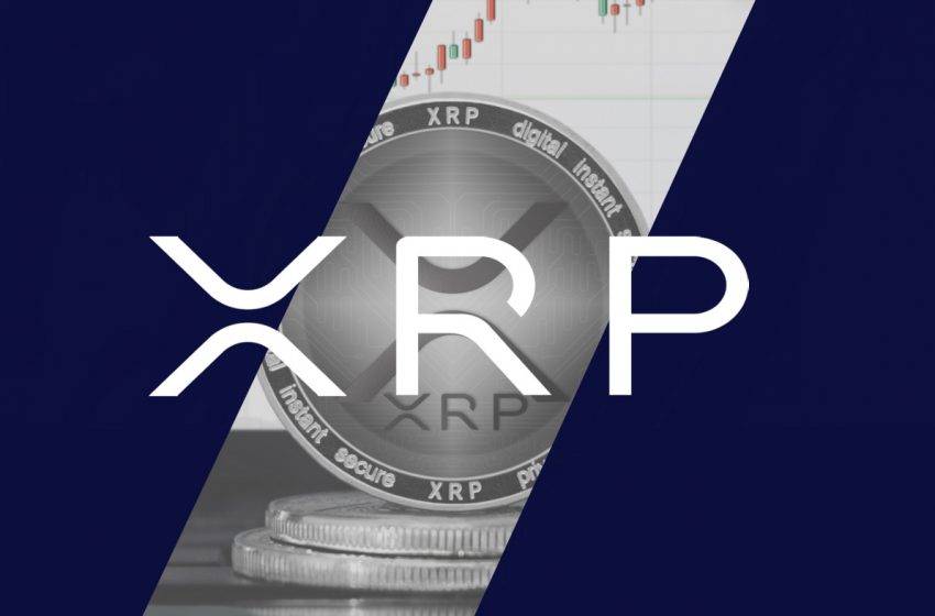500 milyon XRP hareket etti