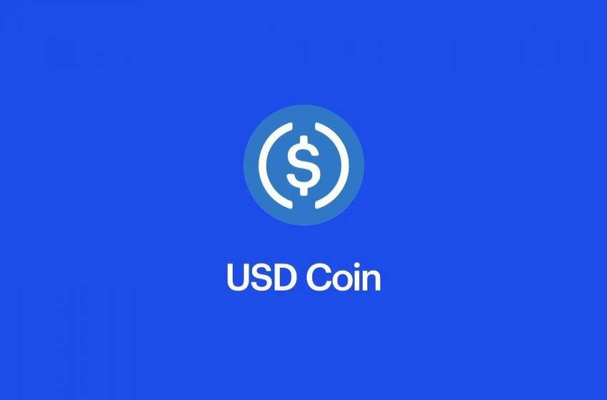 Sabit fiyatlı kripto para USDC yüzde 80 büyüdü
