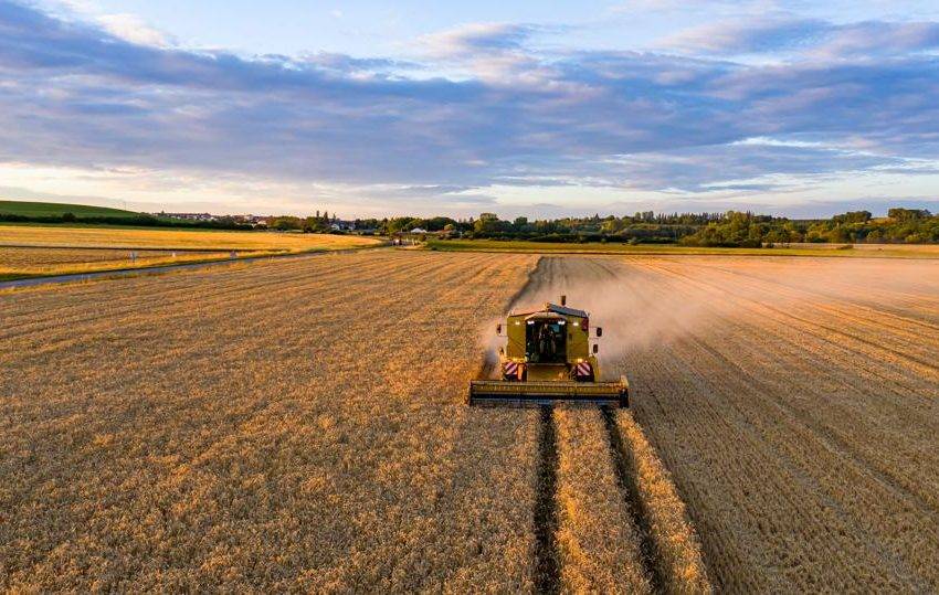 Yield Farming nedir? Yield Farming nasıl yapılır?