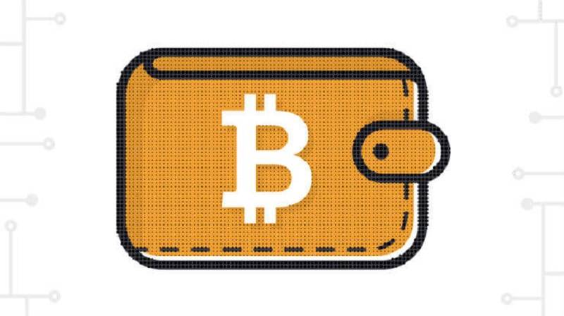 100’den fazla Bitcoin’e sahip cüzdan sayısı giderek artıyor
