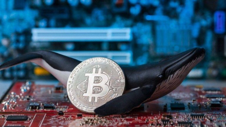 Milyoner Bitcoin cüzdanları