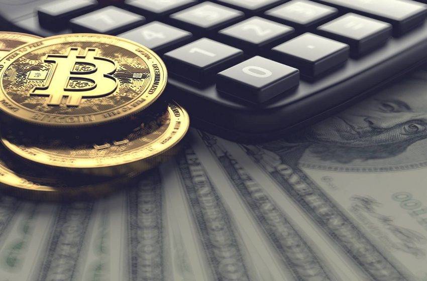 ABD en büyük Bitcoin balinaları arasında yer alıyor
