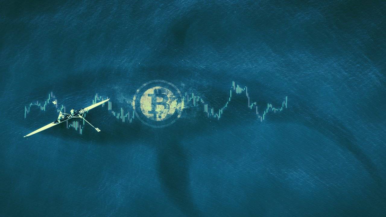 Bitcoin Balinaları