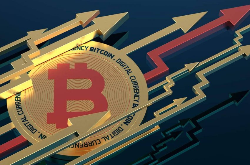 Bitcoin 12 yaşında!