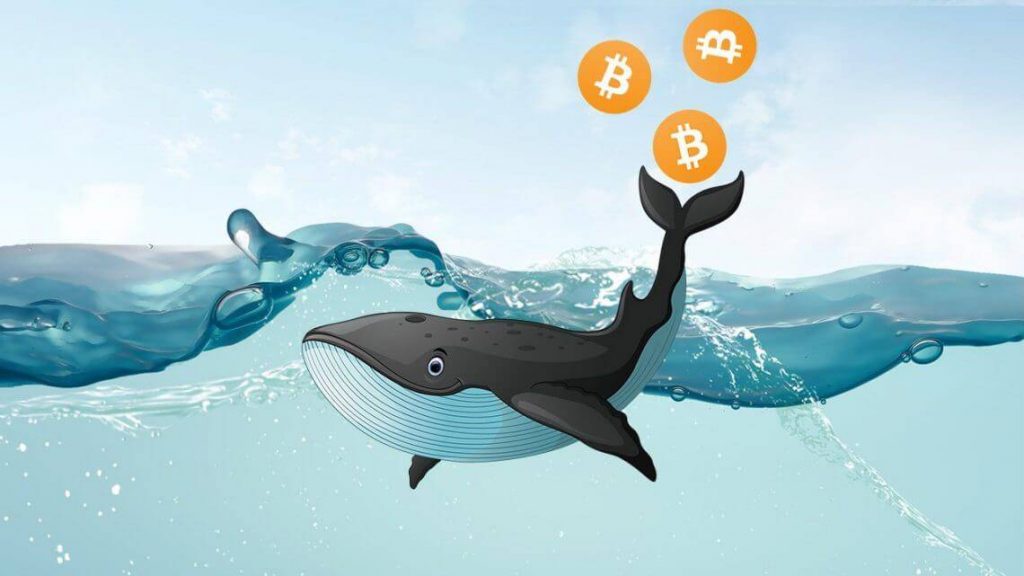Bitcoin balinası
