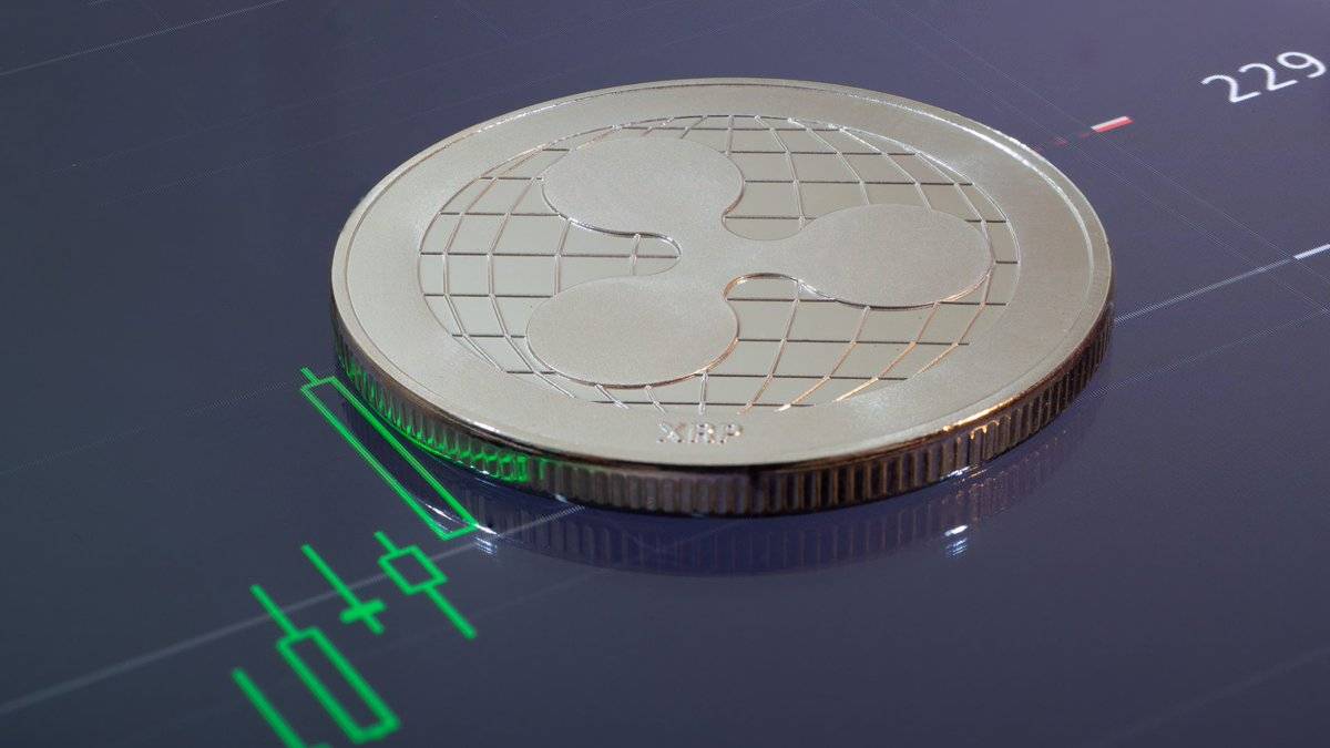 XRP fiyatı