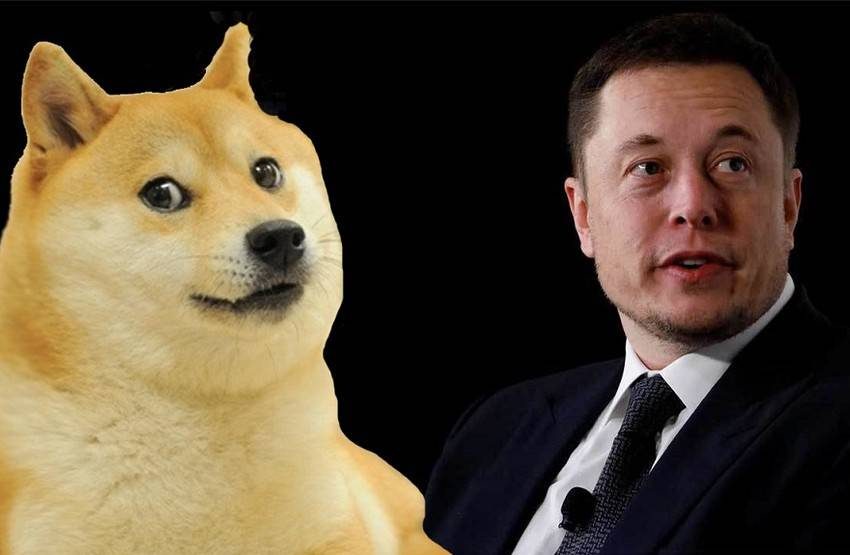 Elon Musk Dogecoin yazması yetti! Yüzde 50 artış