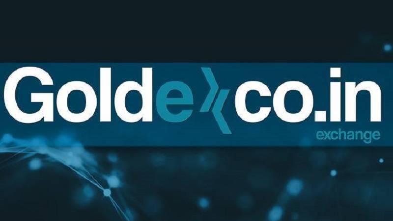 Goldexcoin borsasına erişilemiyor