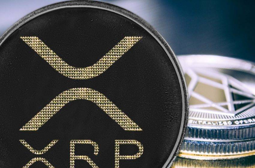 SEC Ripple davası için özel talep!