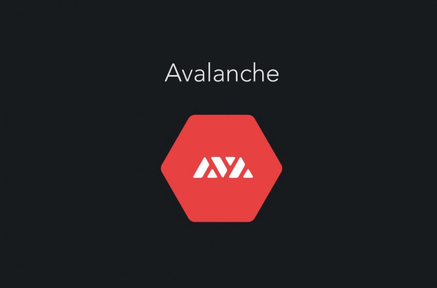 Tether Avalanche ağını kullanmaya başlıyor
