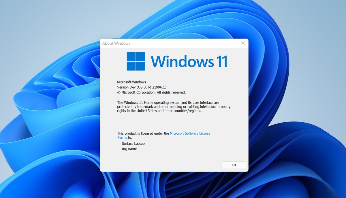 Windows 11 dağıtım tarihi