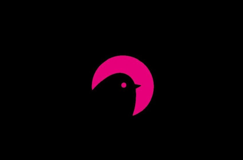 KSM Starter Stake başlattı!