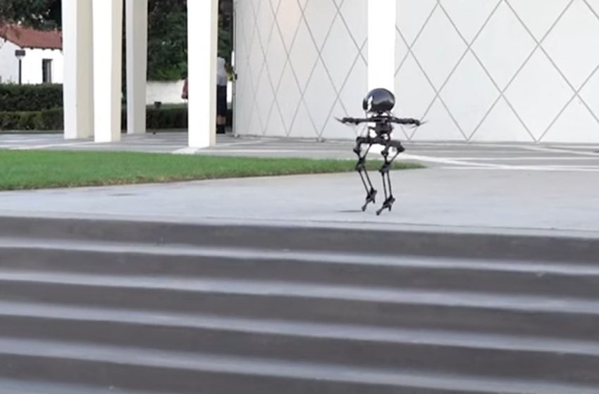 Uçabilen robot Leo görücüye çıktı