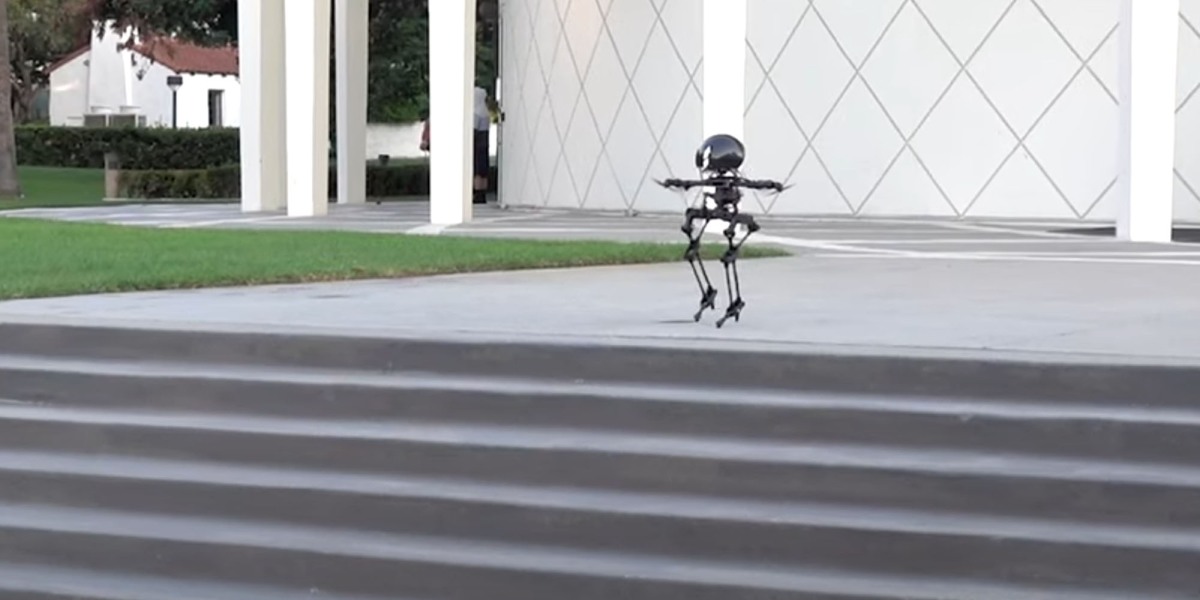 Uçabilen robot Leo görücüye çıktı